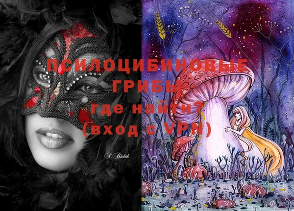 PSILOCYBIN Волоколамск