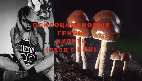 шишки Волосово