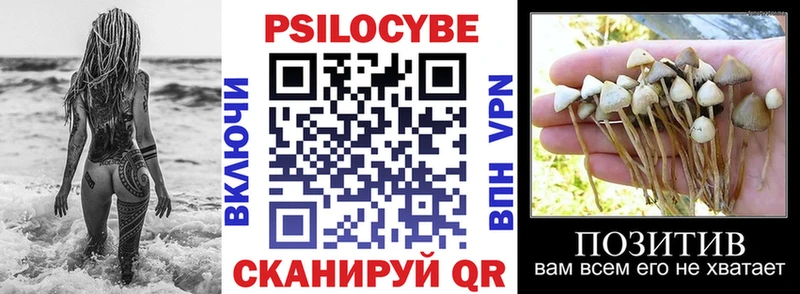 Псилоцибиновые грибы Psilocybine cubensis  Петухово 
