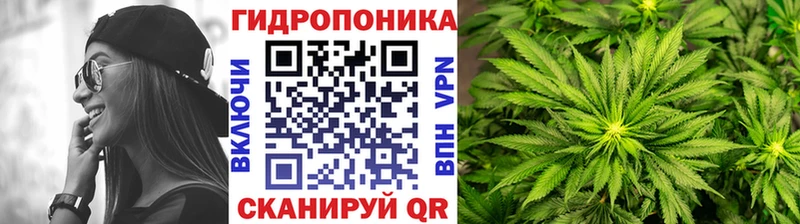 Канабис планчик  Петухово 